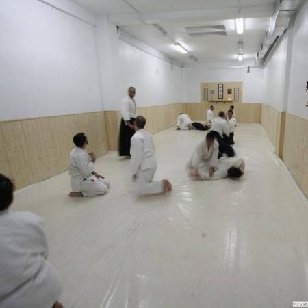 Ver imagen más grande