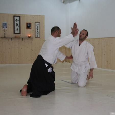 Ver imagen más grande