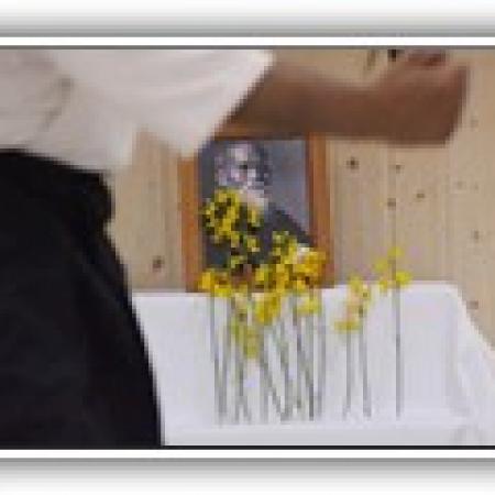 Ver imagen más grande