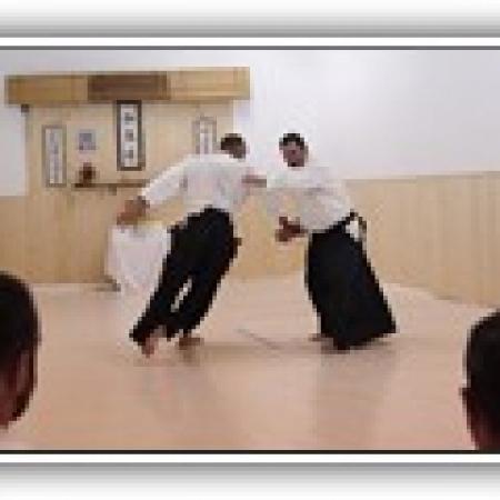 Ver imagen más grande